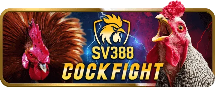 Cá cược có trách nhiệm nh88 apk